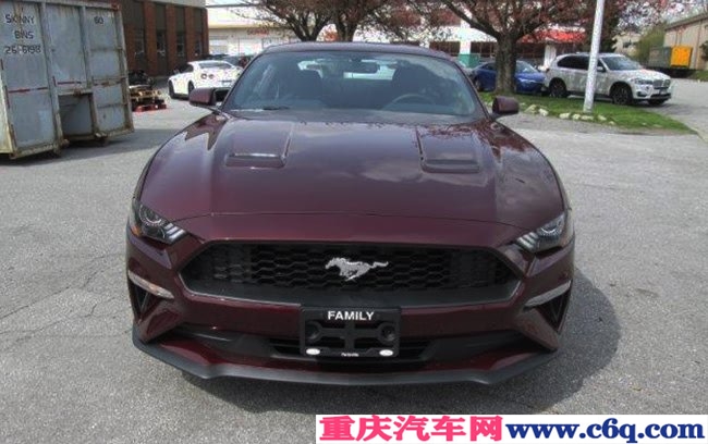 2019款福特野马加规版跑车 2.3T现车热卖优惠专享