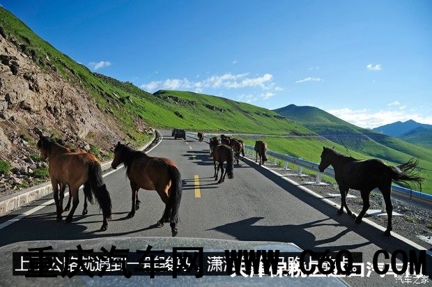 汽车之家